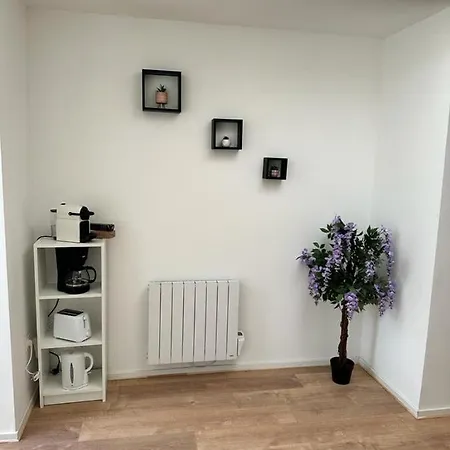 Maison 5 Chambres Avec Jardin Et Cour Villa Faches-Thumesnil